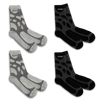 Voyager 4 Pack